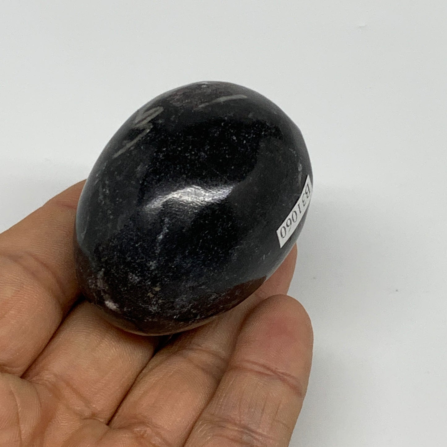 107g, 2"x1.5", Natural Fossil Orthoceras Stone Egg from Morocco, B31060
