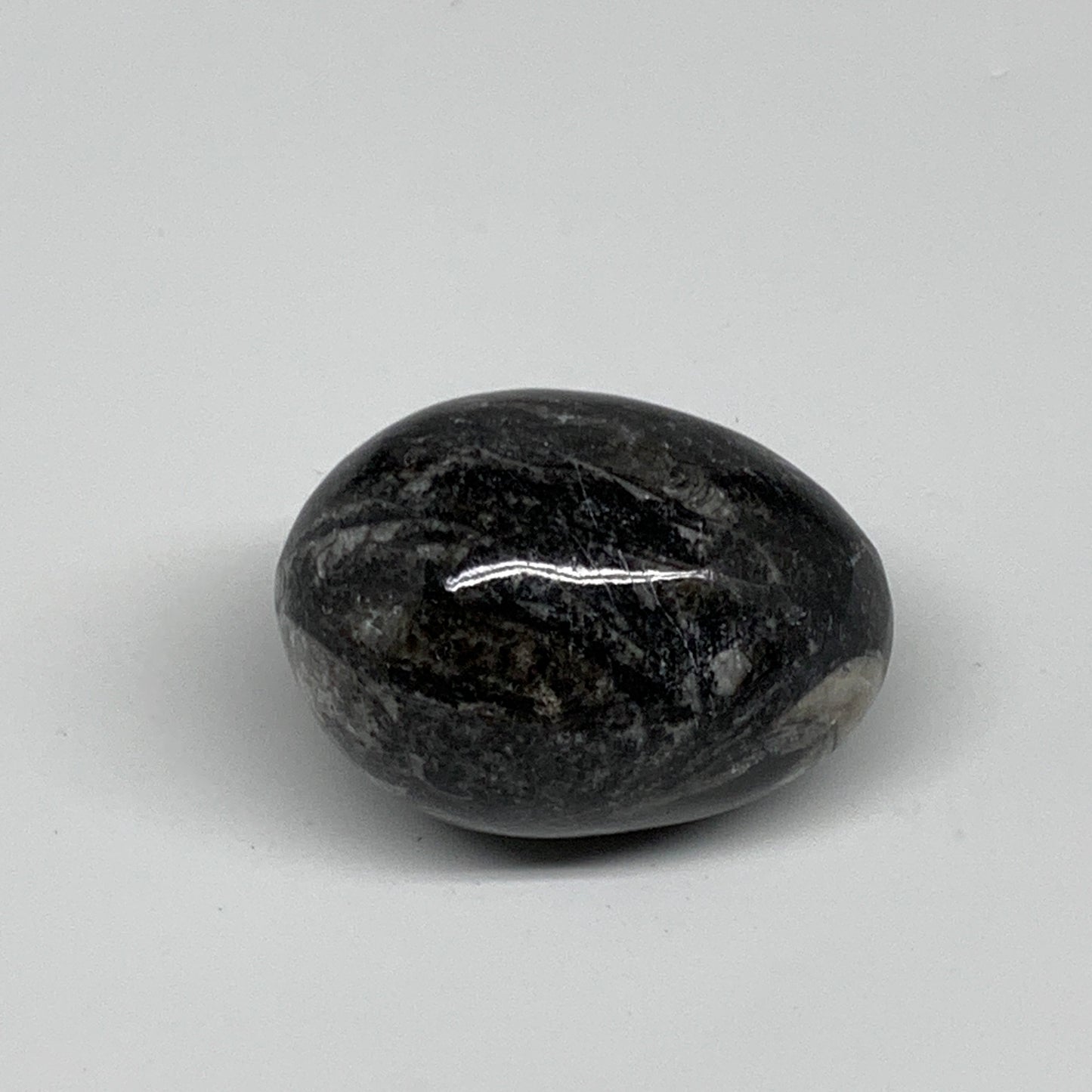 107g, 2"x1.5", Natural Fossil Orthoceras Stone Egg from Morocco, B31060