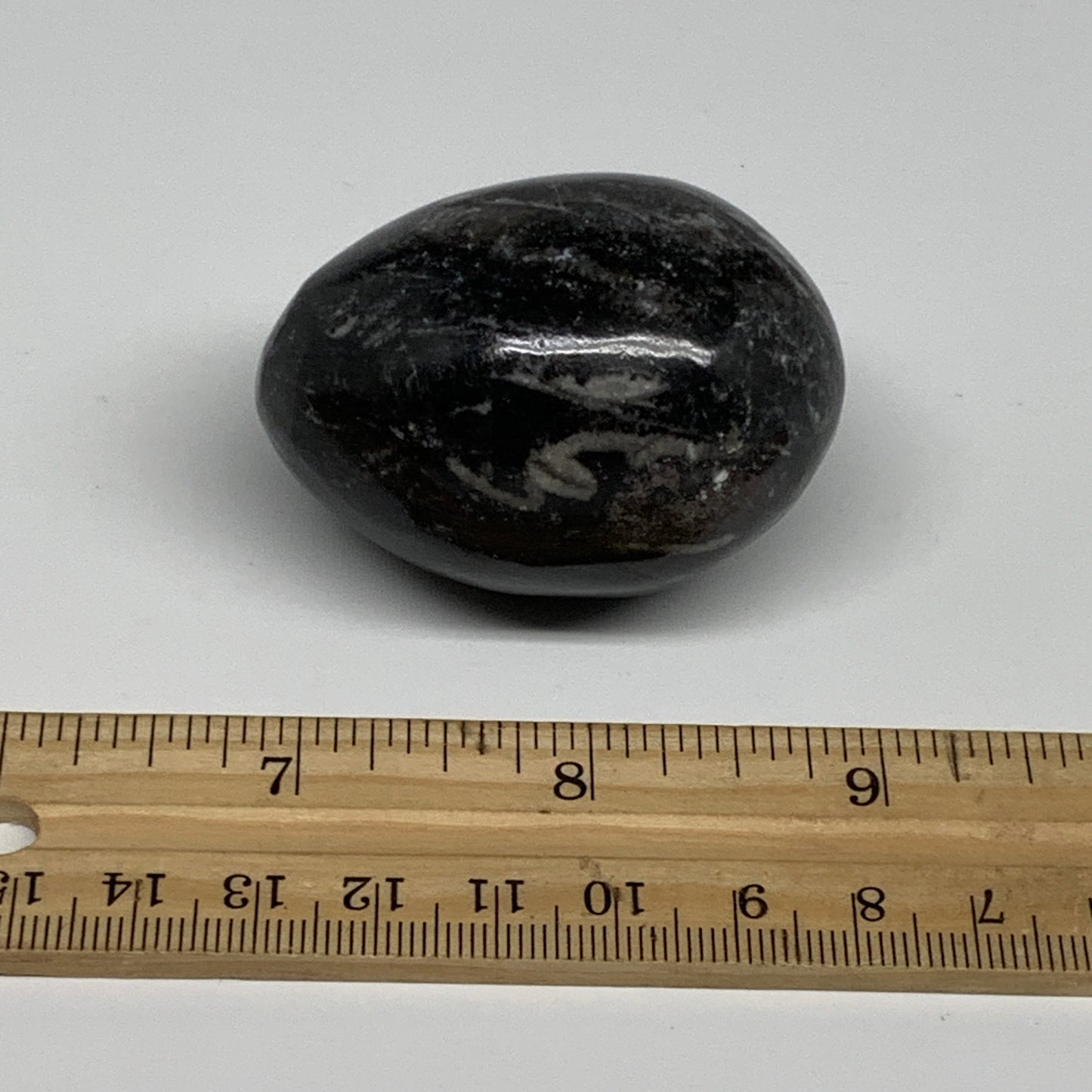 107g, 2"x1.5", Natural Fossil Orthoceras Stone Egg from Morocco, B31060