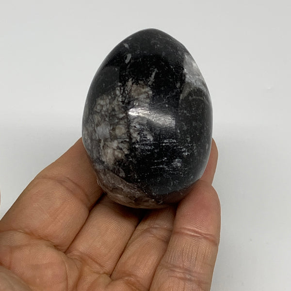 130g, 2.2"x1.6", Natural Fossil Orthoceras Stone Egg from Morocco, B31061