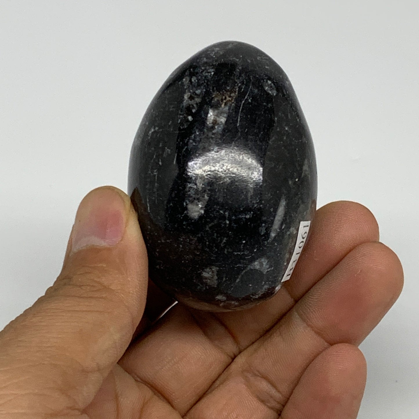 130g, 2.2"x1.6", Natural Fossil Orthoceras Stone Egg from Morocco, B31061