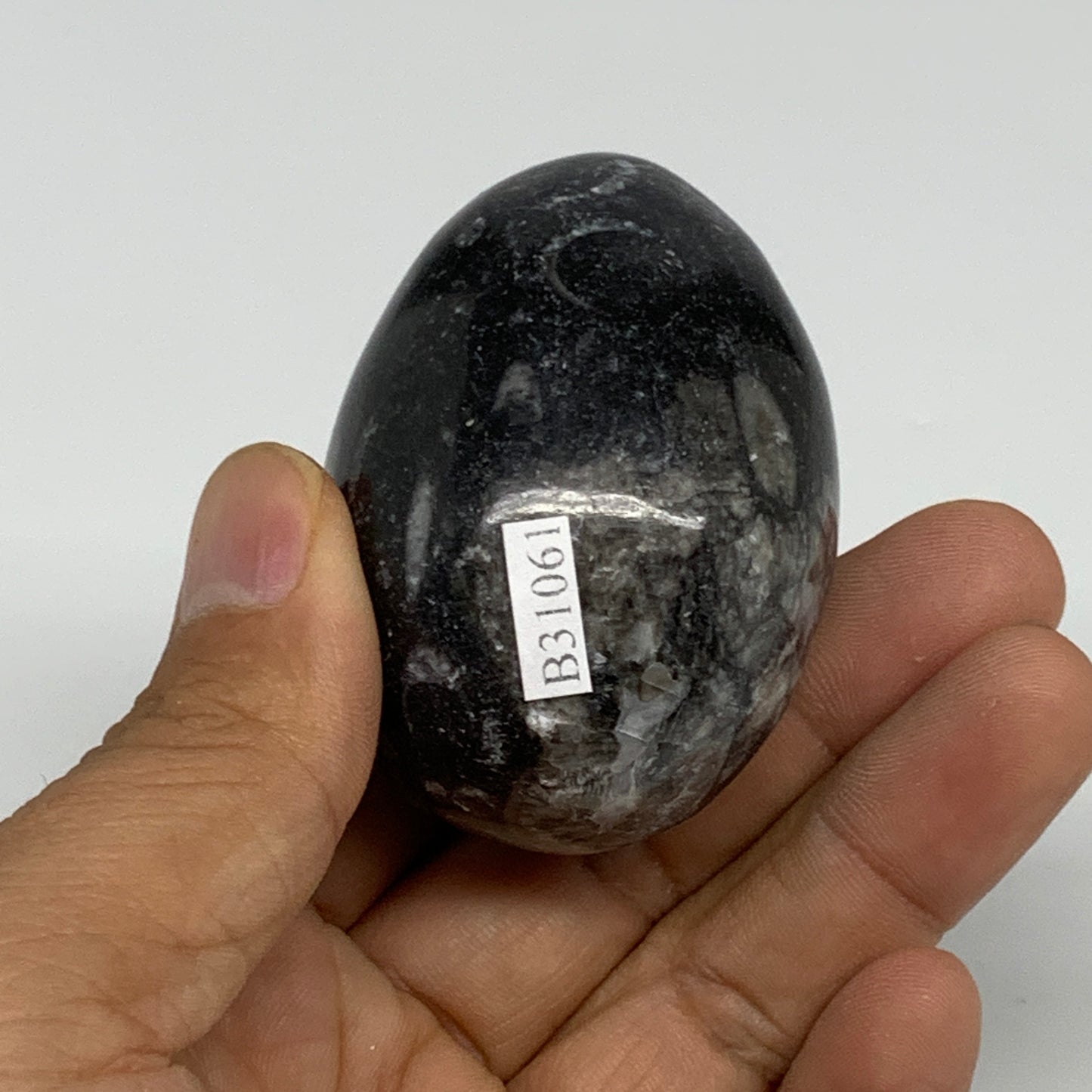 130g, 2.2"x1.6", Natural Fossil Orthoceras Stone Egg from Morocco, B31061