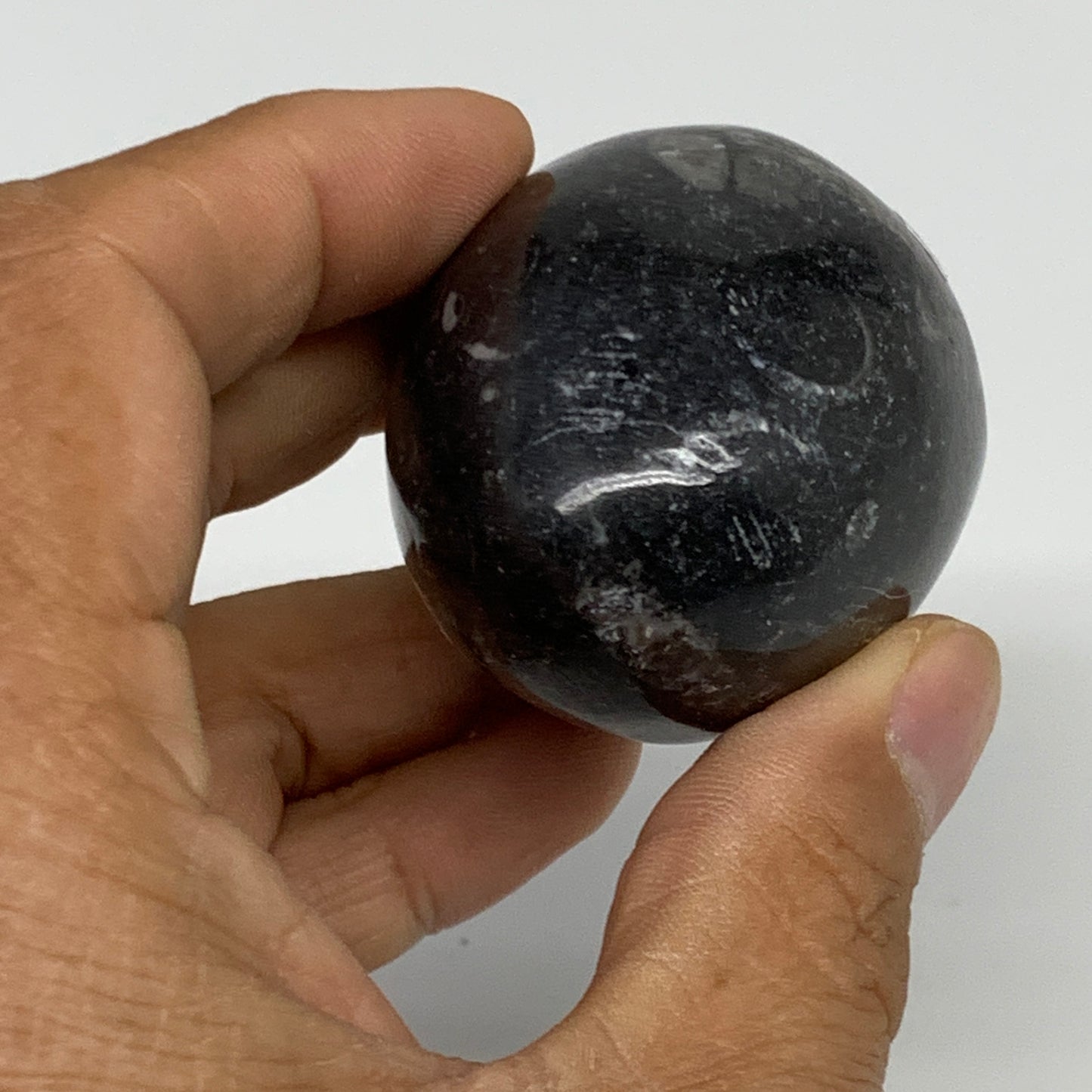 130g, 2.2"x1.6", Natural Fossil Orthoceras Stone Egg from Morocco, B31061