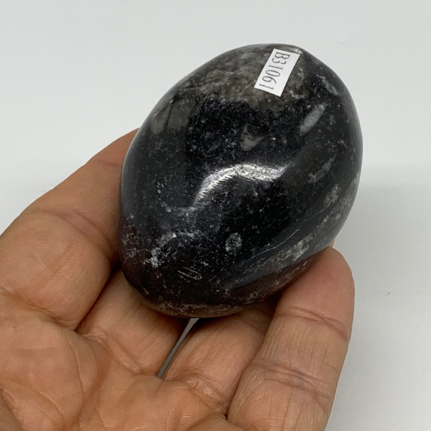 130g, 2.2"x1.6", Natural Fossil Orthoceras Stone Egg from Morocco, B31061