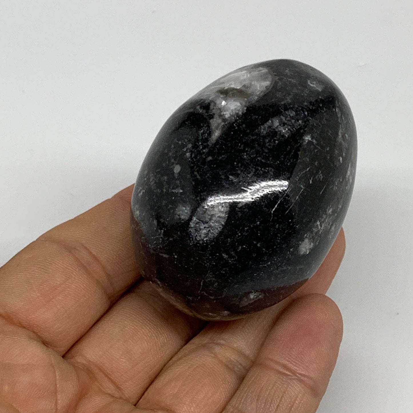 130g, 2.2"x1.6", Natural Fossil Orthoceras Stone Egg from Morocco, B31061