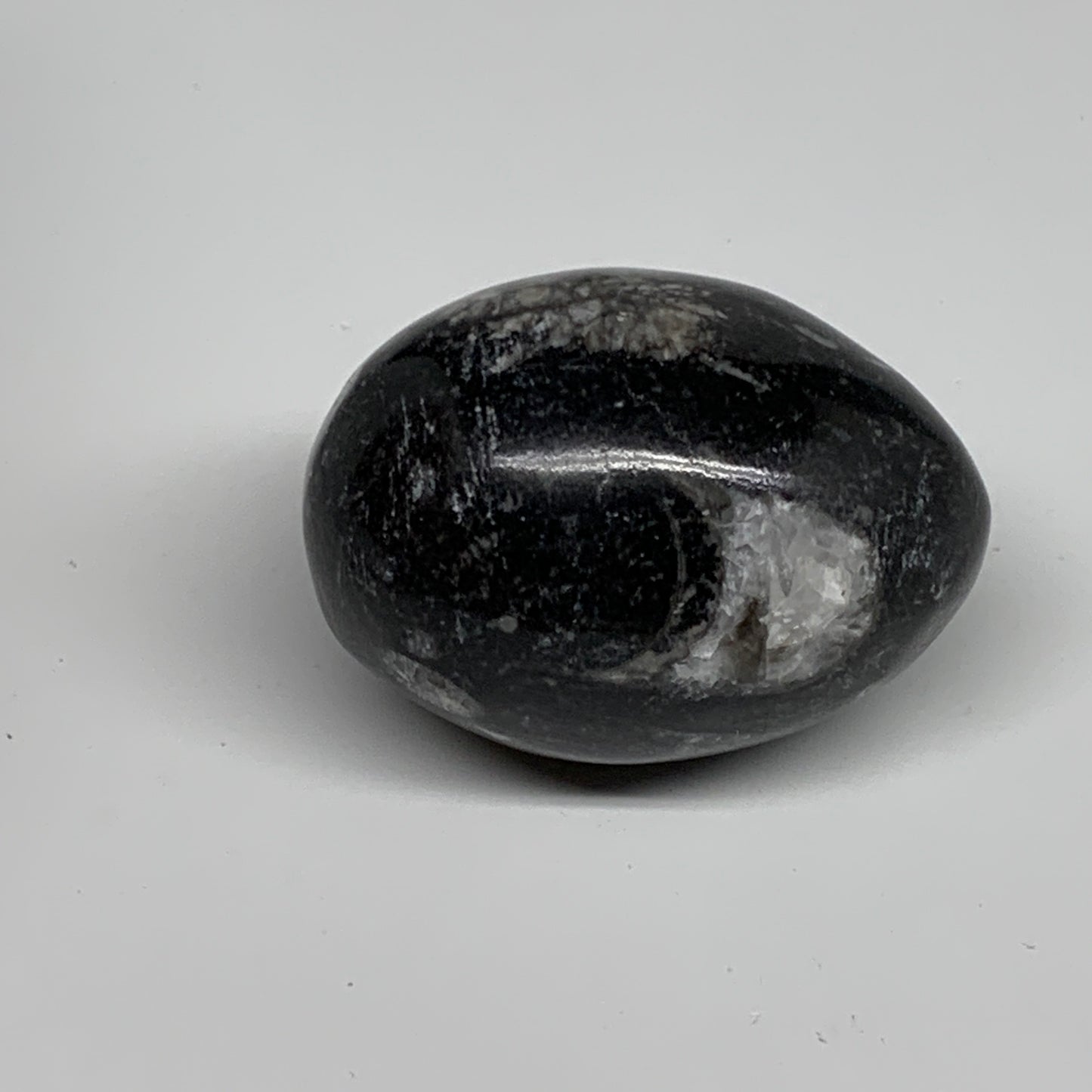 130g, 2.2"x1.6", Natural Fossil Orthoceras Stone Egg from Morocco, B31061