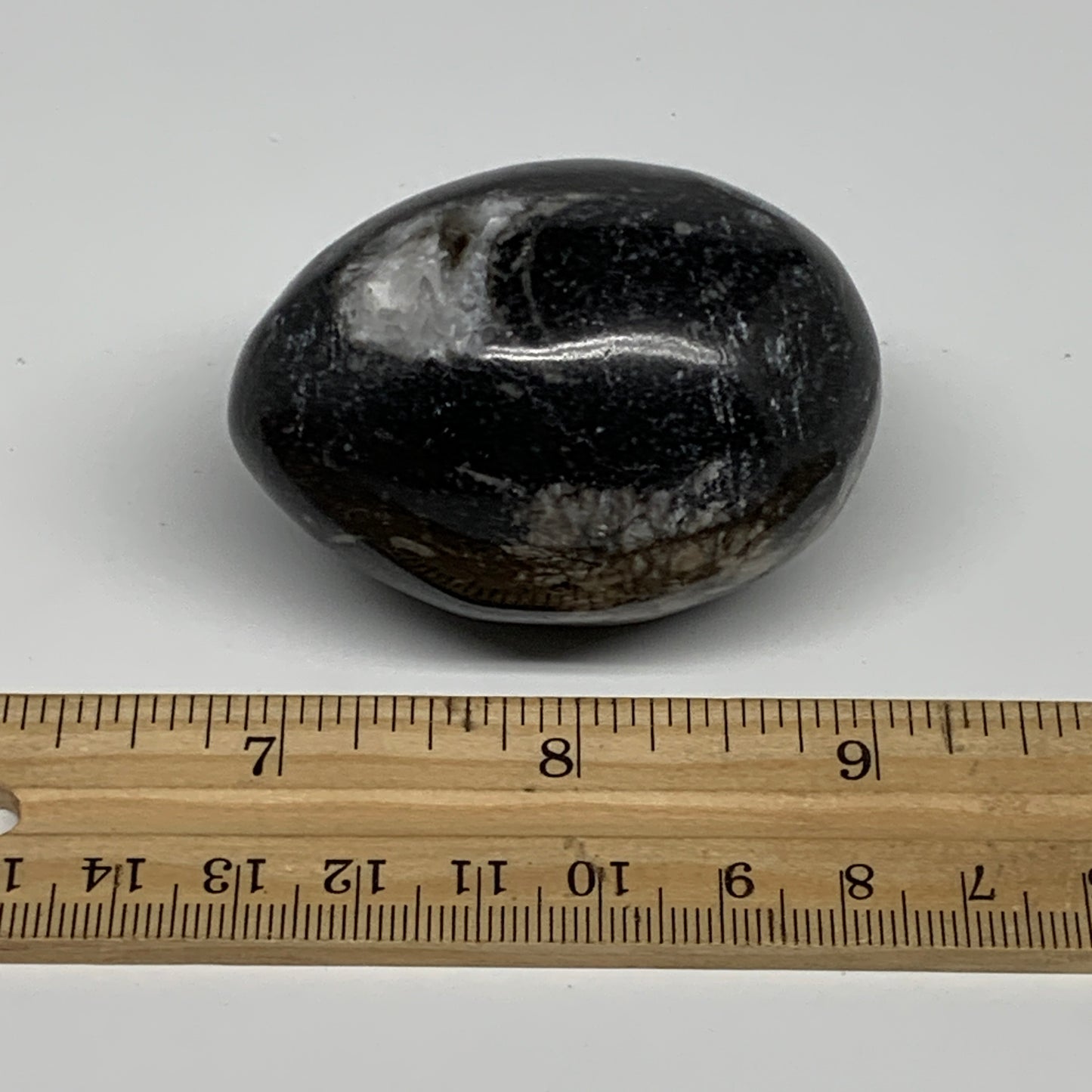 130g, 2.2"x1.6", Natural Fossil Orthoceras Stone Egg from Morocco, B31061