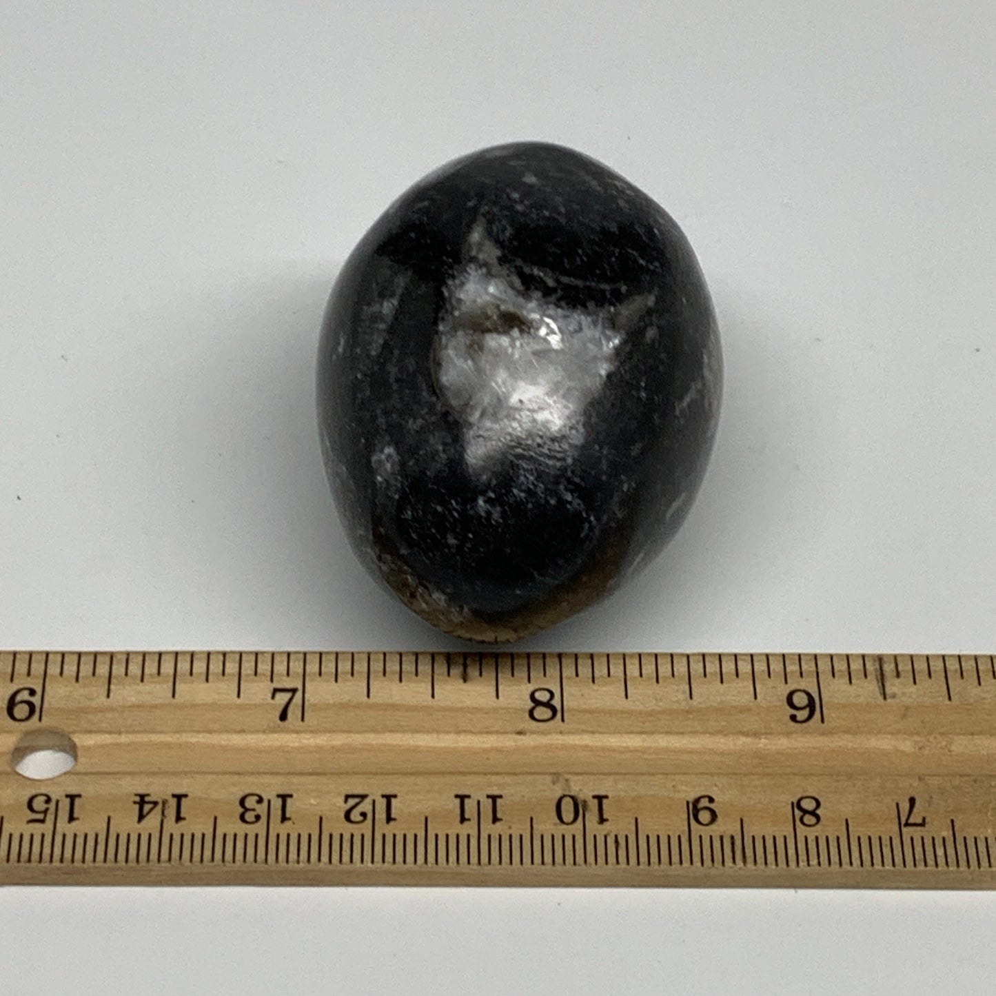 130g, 2.2"x1.6", Natural Fossil Orthoceras Stone Egg from Morocco, B31061