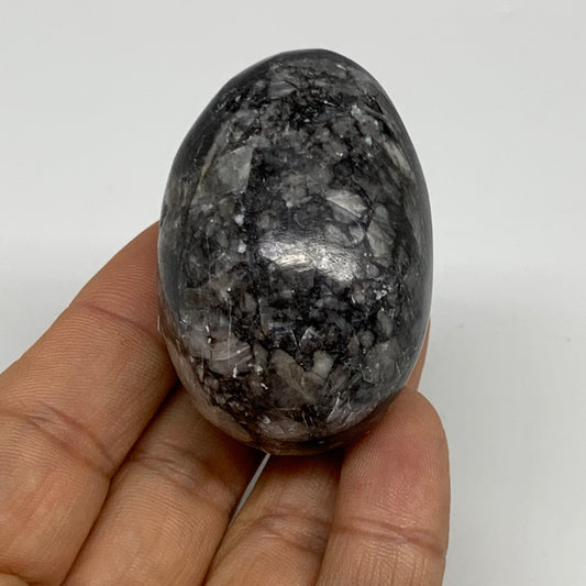 90.9g, 2"x1.3", Natural Fossil Orthoceras Stone Egg from Morocco, B31062