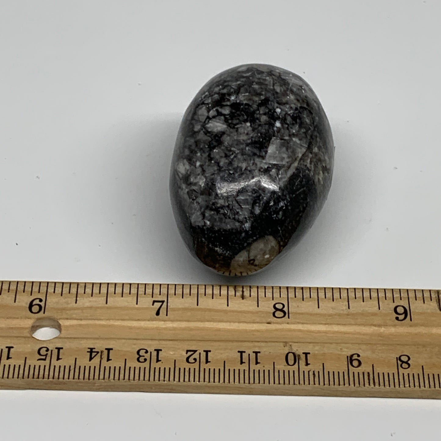 90.9g, 2"x1.3", Natural Fossil Orthoceras Stone Egg from Morocco, B31062