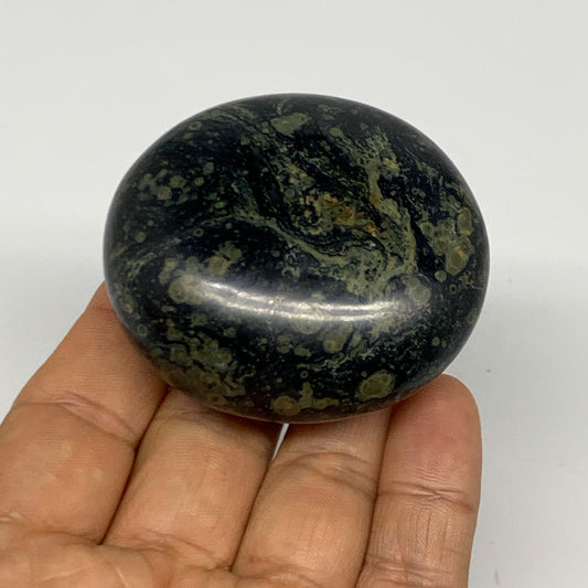 120.6g, 2.2"x2.1"x1.1", Crocodile Kambaba Jasper Palm-Stone @Madagascar, B28059