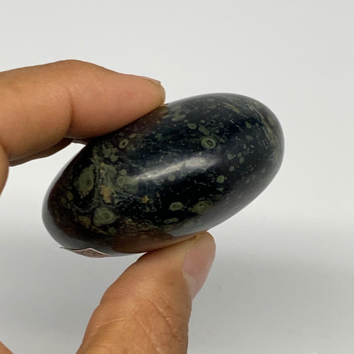 120.6g, 2.2"x2.1"x1.1", Crocodile Kambaba Jasper Palm-Stone @Madagascar, B28059