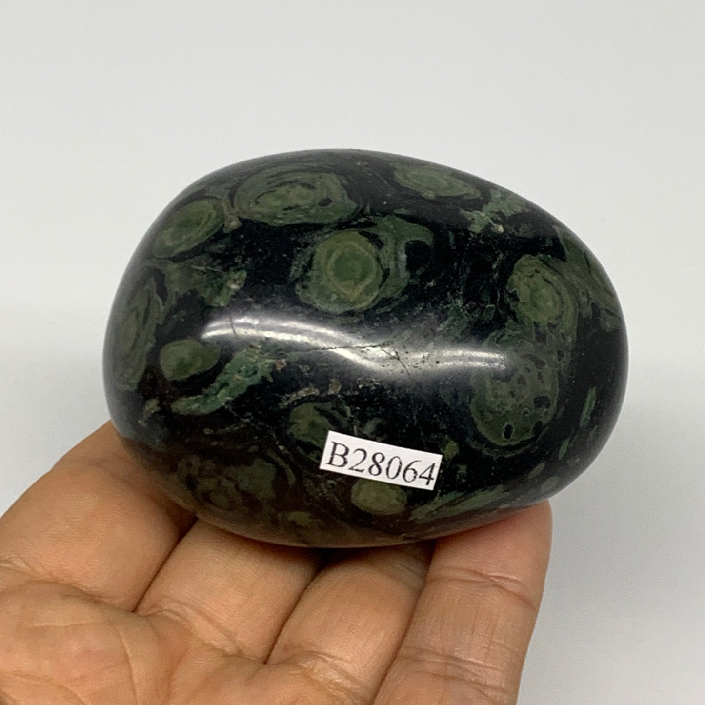 207.7g, 2.6"x2"x1.7", Crocodile Kambaba Jasper Palm-Stone @Madagascar, B28064