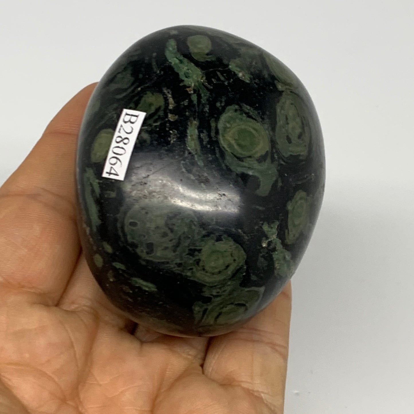 207.7g, 2.6"x2"x1.7", Crocodile Kambaba Jasper Palm-Stone @Madagascar, B28064