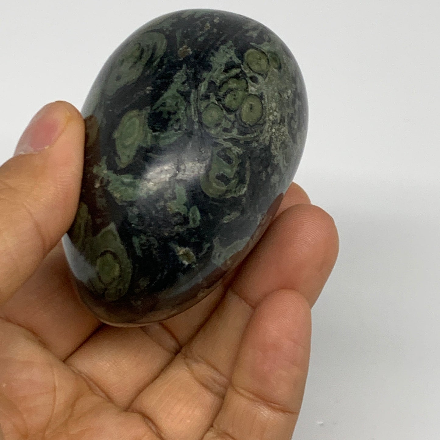 207.7g, 2.6"x2"x1.7", Crocodile Kambaba Jasper Palm-Stone @Madagascar, B28064