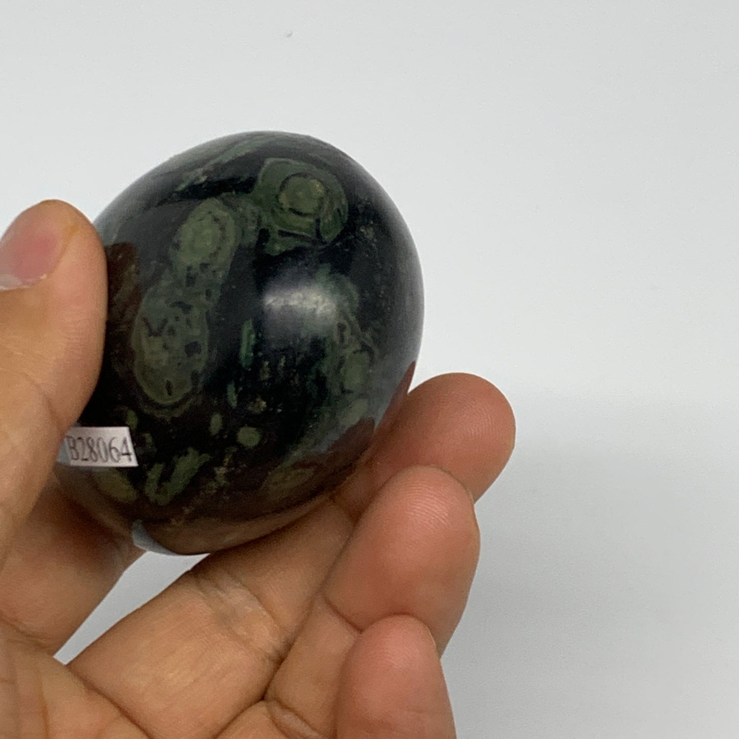 207.7g, 2.6"x2"x1.7", Crocodile Kambaba Jasper Palm-Stone @Madagascar, B28064