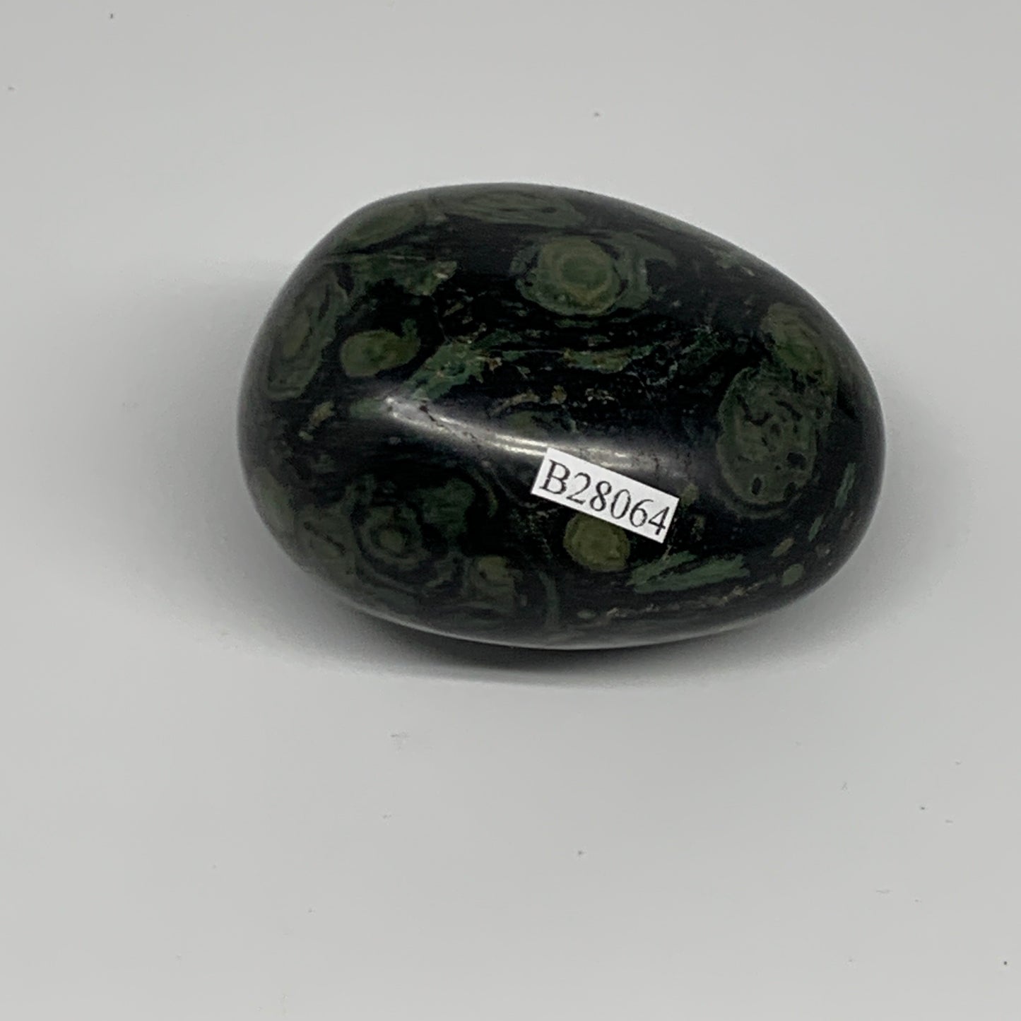 207.7g, 2.6"x2"x1.7", Crocodile Kambaba Jasper Palm-Stone @Madagascar, B28064