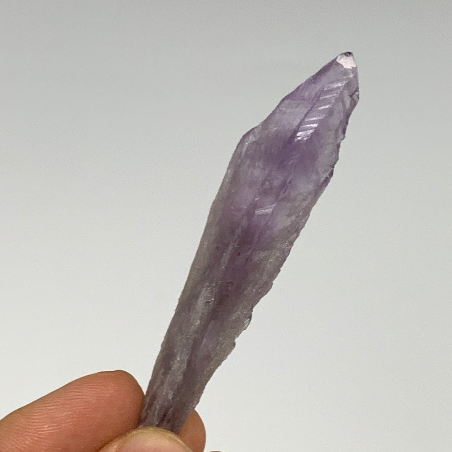 106.1g, 2.3" - 3", 7pcs, Amethyst Point Polished Rough lower part @Brazil, B2885