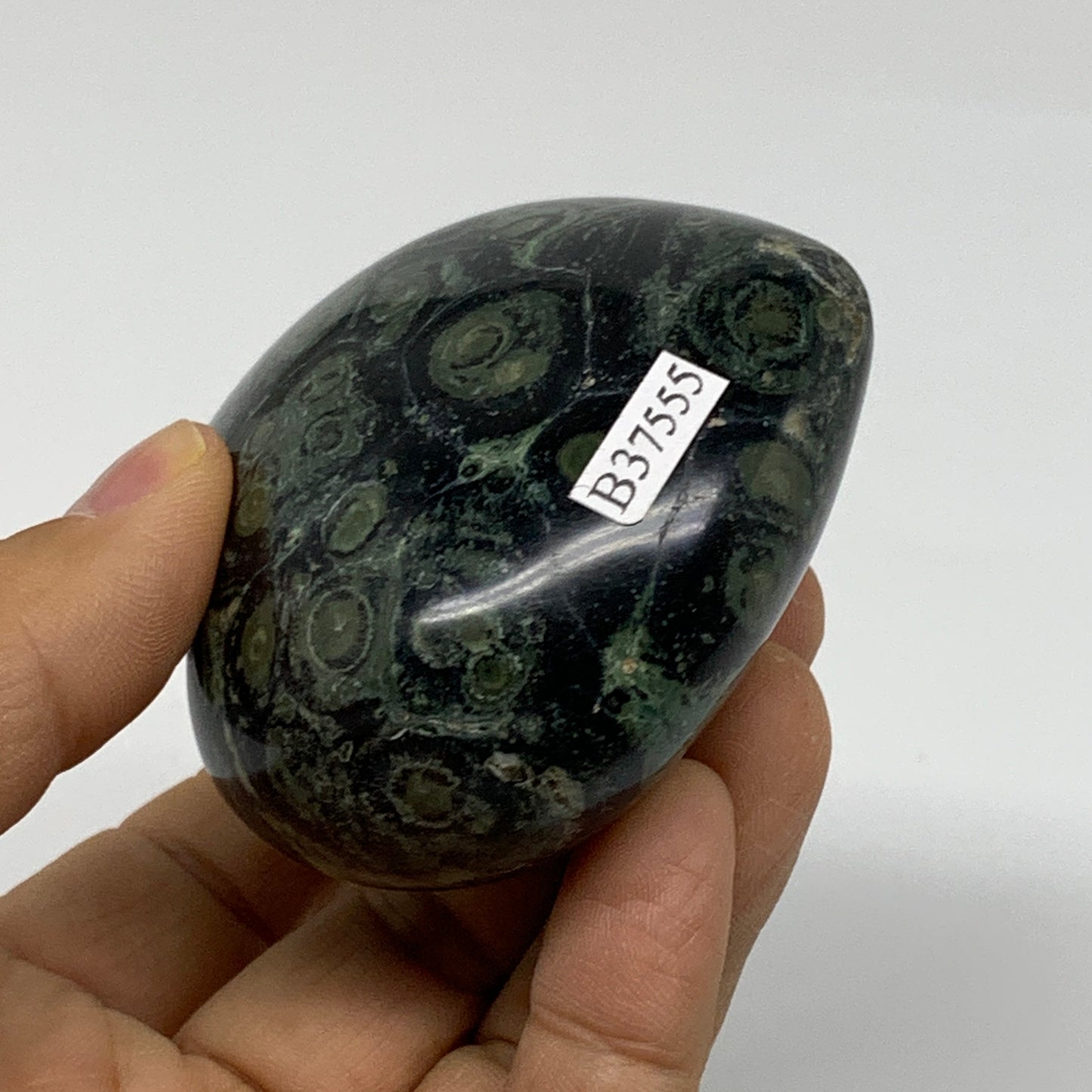 0.46 lbs, 2.5"x2.7"x1.4", Kambaba Jasper Heart Crocodile Polished Crystal, B3755