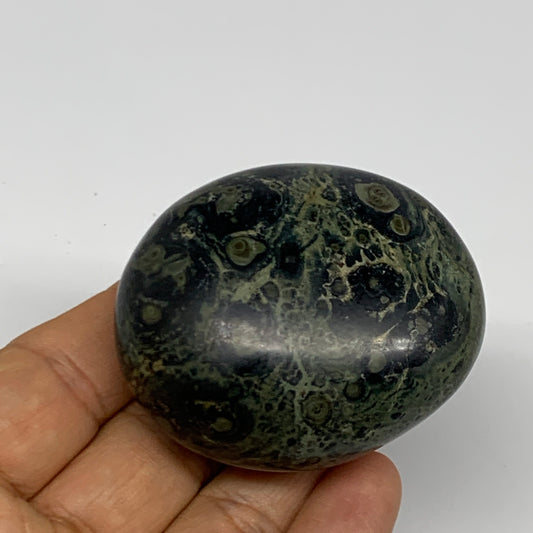 119.4g, 2.3"x1.9"x1.2", Crocodile Kambaba Jasper Palm-Stone @Madagascar, B28092