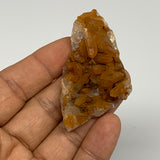 85.7g, 1.8"-2.4", 4pcs, Orange Quartz Cluster Crystal Terminated @Brazil, B28883