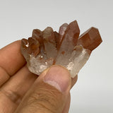 105.1g, 1.5"-2.1", 4pcs, Orange Quartz Cluster Crystal Terminated @Brazil, B2888