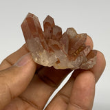 105.1g, 1.5"-2.1", 4pcs, Orange Quartz Cluster Crystal Terminated @Brazil, B2888