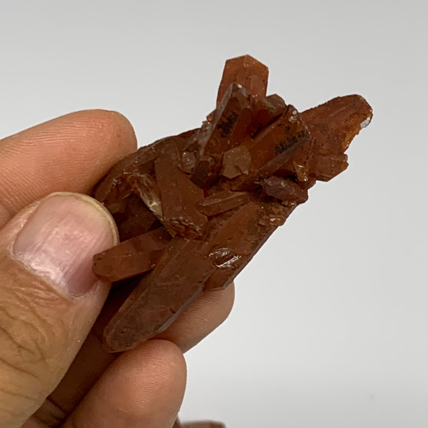 105.1g, 1.5"-2.1", 4pcs, Orange Quartz Cluster Crystal Terminated @Brazil, B2888