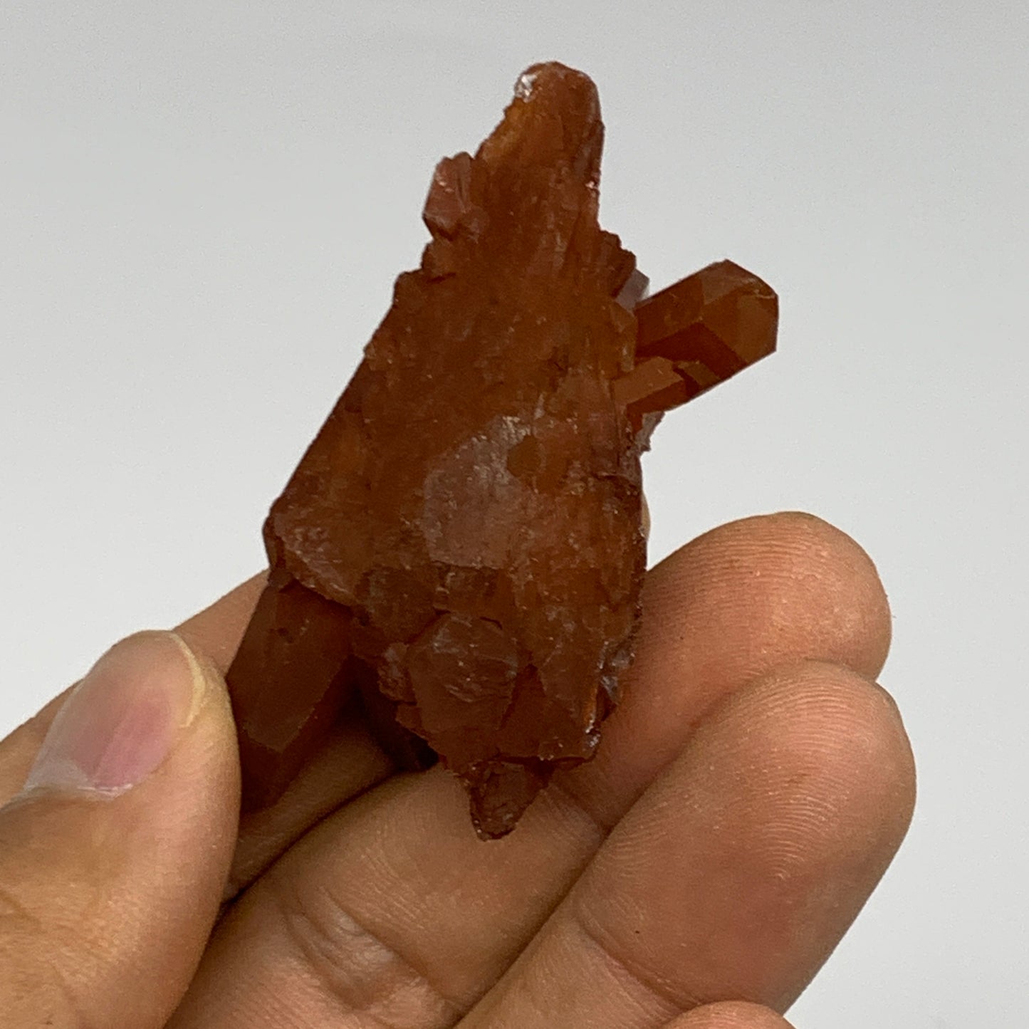 105.1g, 1.5"-2.1", 4pcs, Orange Quartz Cluster Crystal Terminated @Brazil, B2888