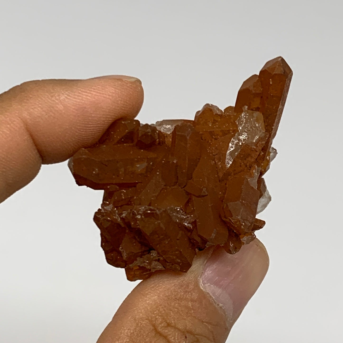 105.1g, 1.5"-2.1", 4pcs, Orange Quartz Cluster Crystal Terminated @Brazil, B2888