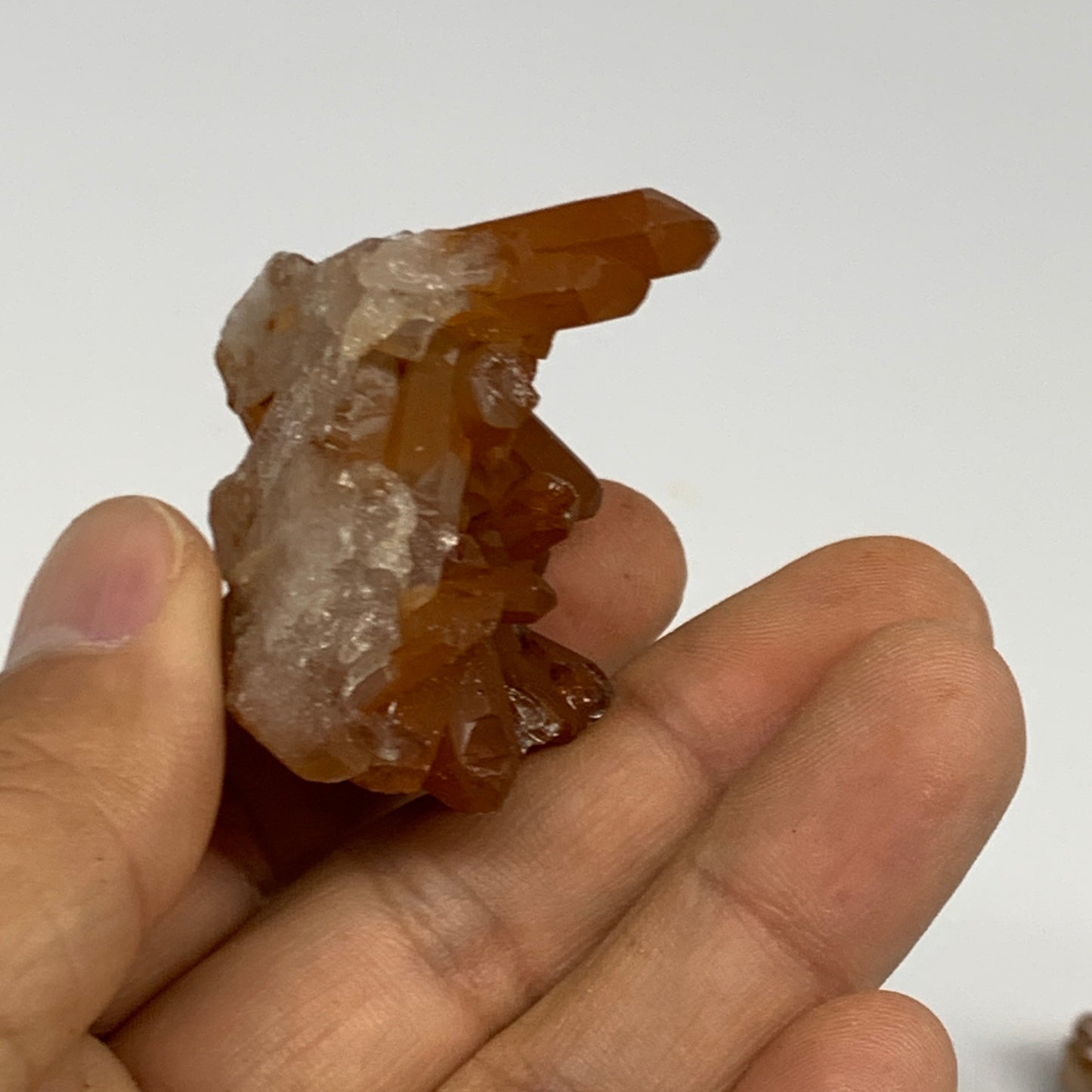 105.1g, 1.5"-2.1", 4pcs, Orange Quartz Cluster Crystal Terminated @Brazil, B2888