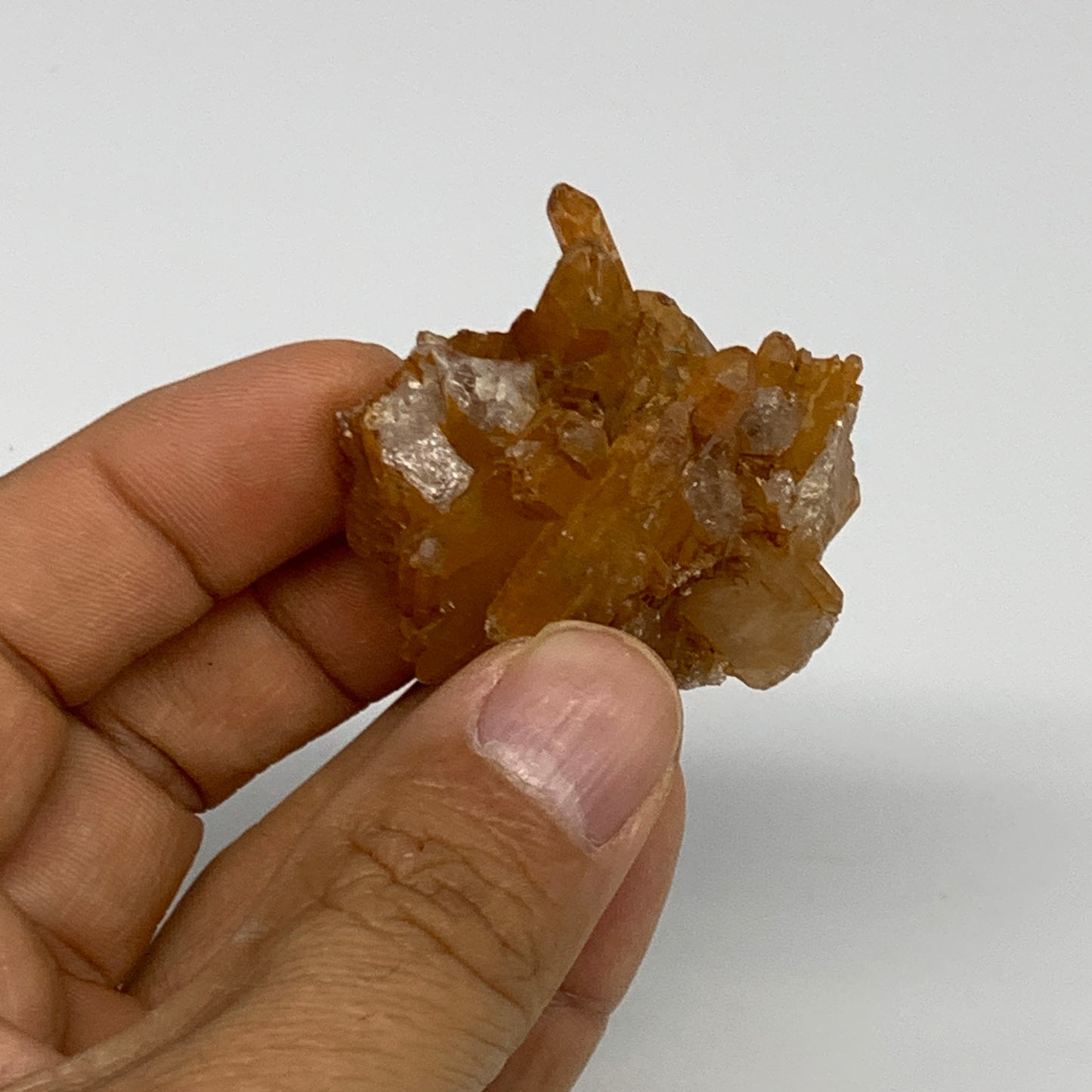 89.9g, 1.5"-2.2", 3pcs, Orange Quartz Cluster Crystal Terminated @Brazil, B28888