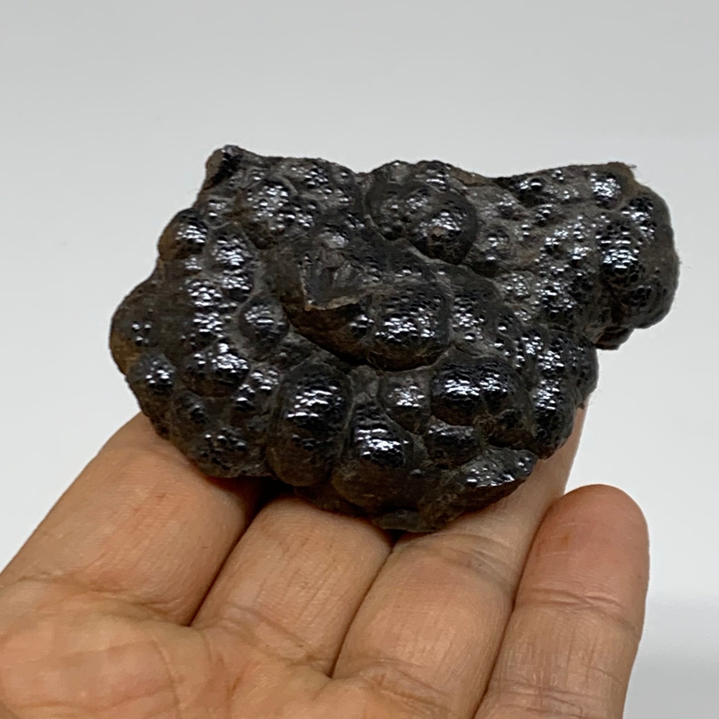 118.4g, 2.6"x1.6"x1.1", Rough Hematite Botryoidal Mineral Crystal, B38432