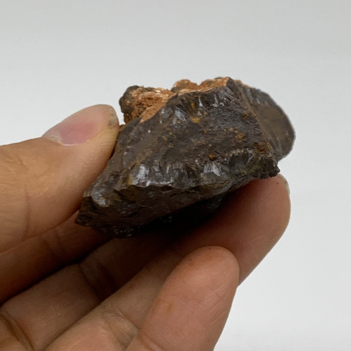 118.4g, 2.6"x1.6"x1.1", Rough Hematite Botryoidal Mineral Crystal, B38432