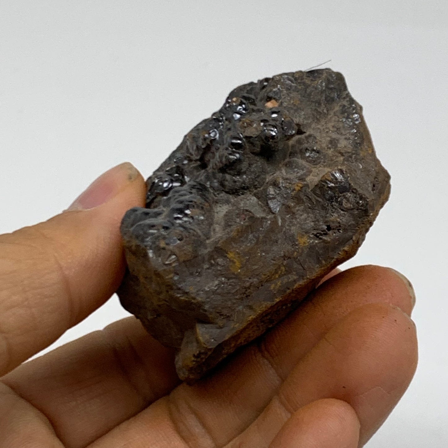 151.6g, 2.2"x1.8"x1.3", Rough Hematite Botryoidal Mineral Crystal, B38436