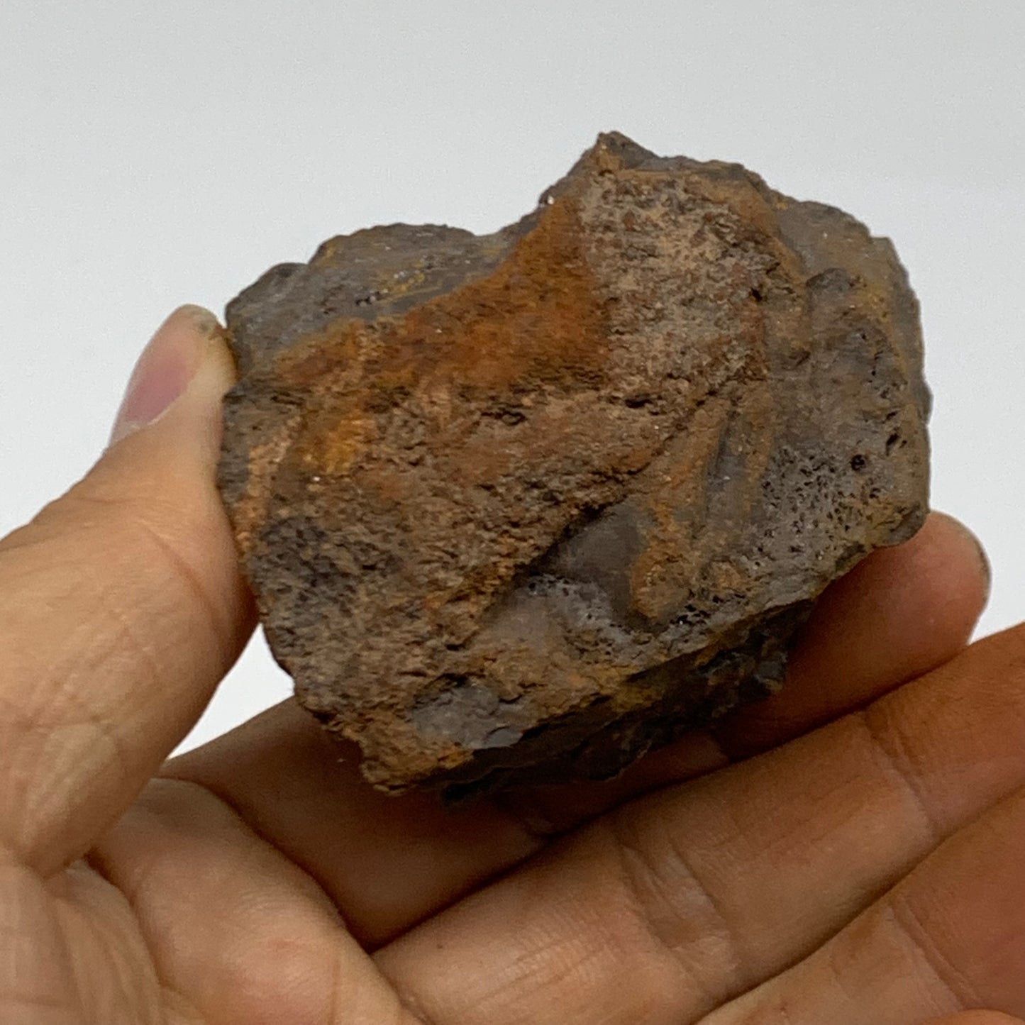 151.6g, 2.2"x1.8"x1.3", Rough Hematite Botryoidal Mineral Crystal, B38436