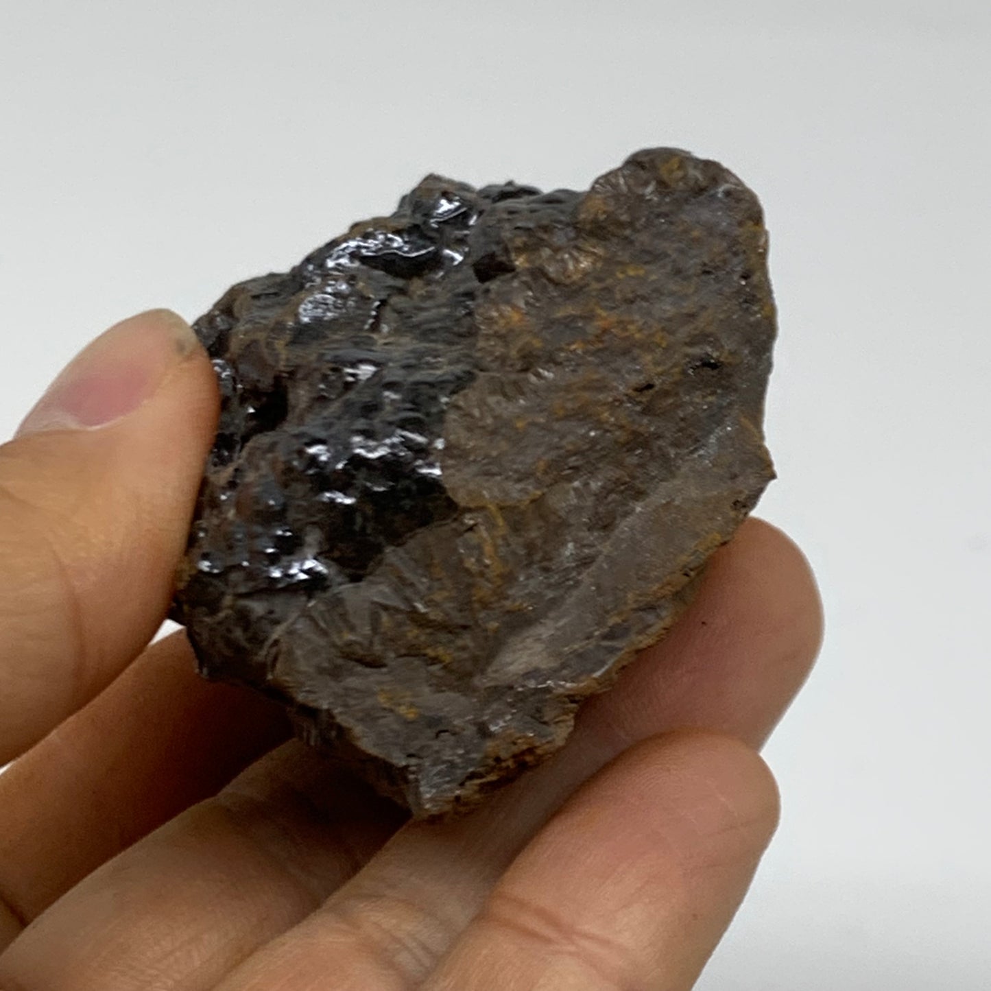 151.6g, 2.2"x1.8"x1.3", Rough Hematite Botryoidal Mineral Crystal, B38436