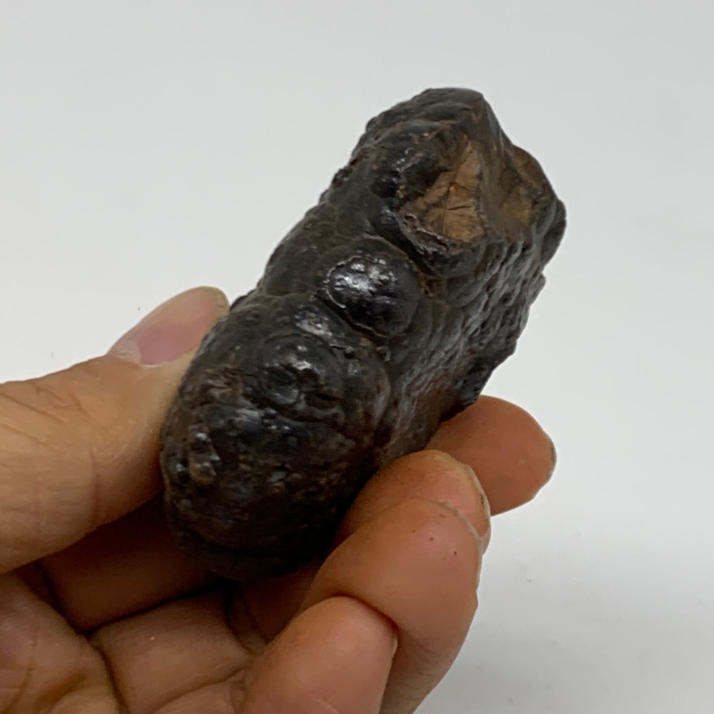 116.7g, 2.2"x1.6"x1.9", Rough Hematite Botryoidal Mineral Crystal, B38437