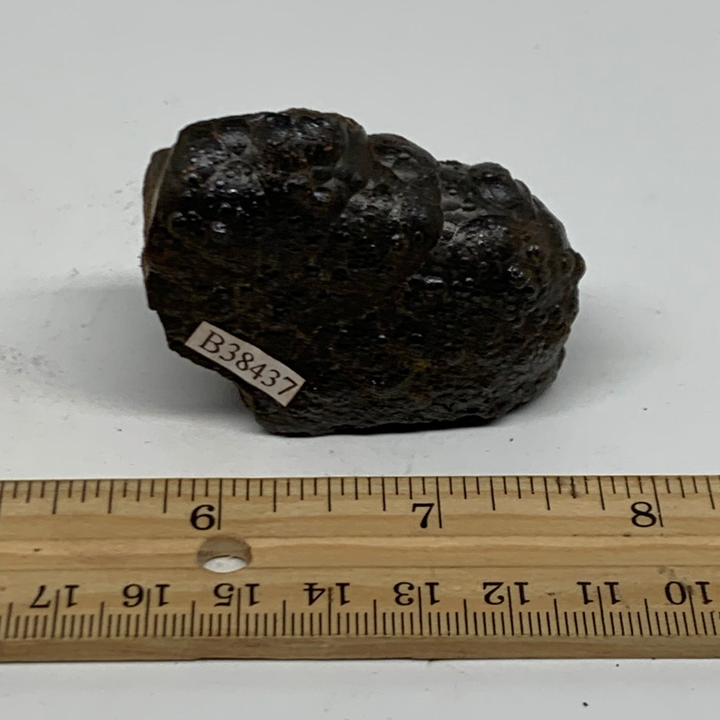 116.7g, 2.2"x1.6"x1.9", Rough Hematite Botryoidal Mineral Crystal, B38437