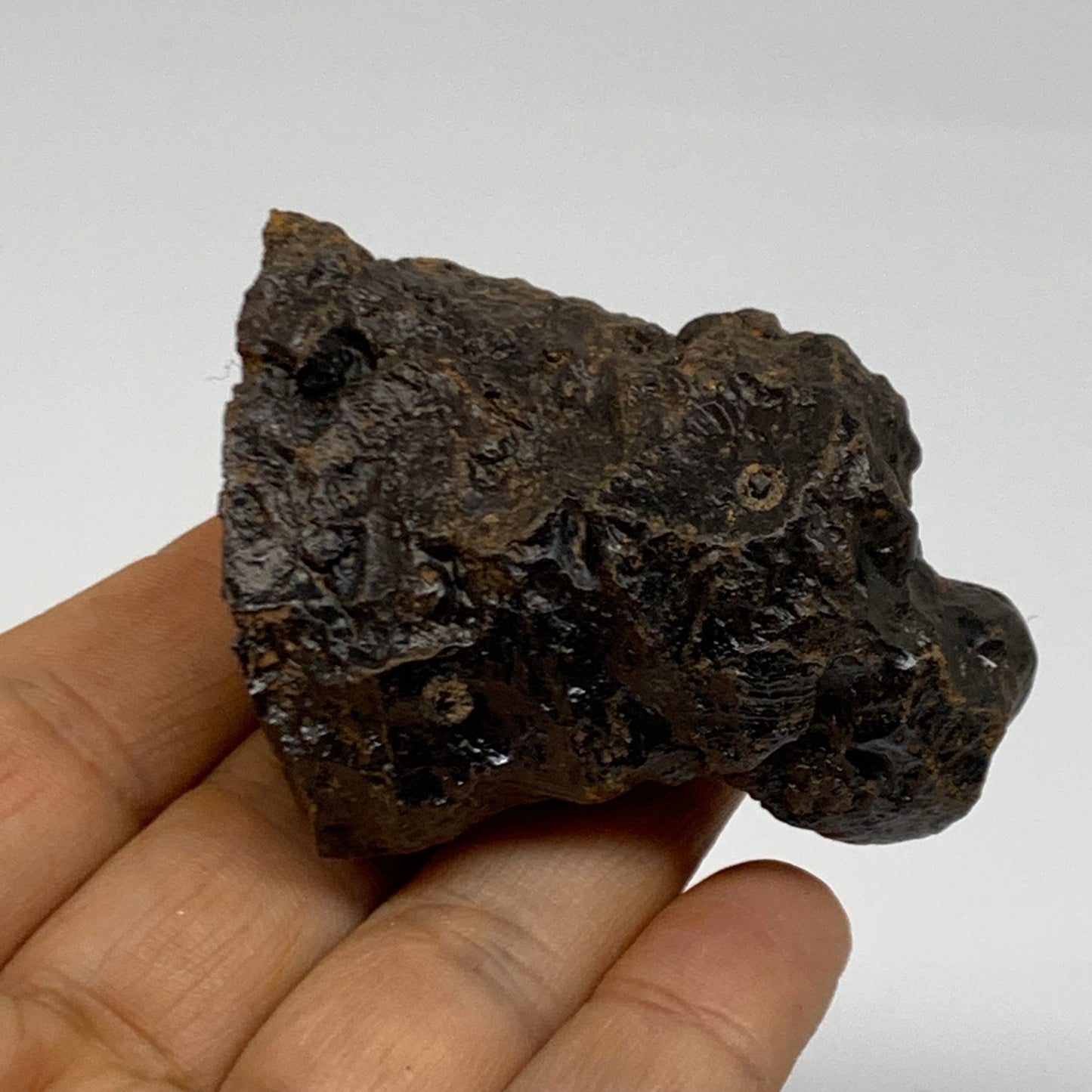 132.4g, 2.3"x1.8"x1.2", Rough Hematite Botryoidal Mineral Crystal, B38438