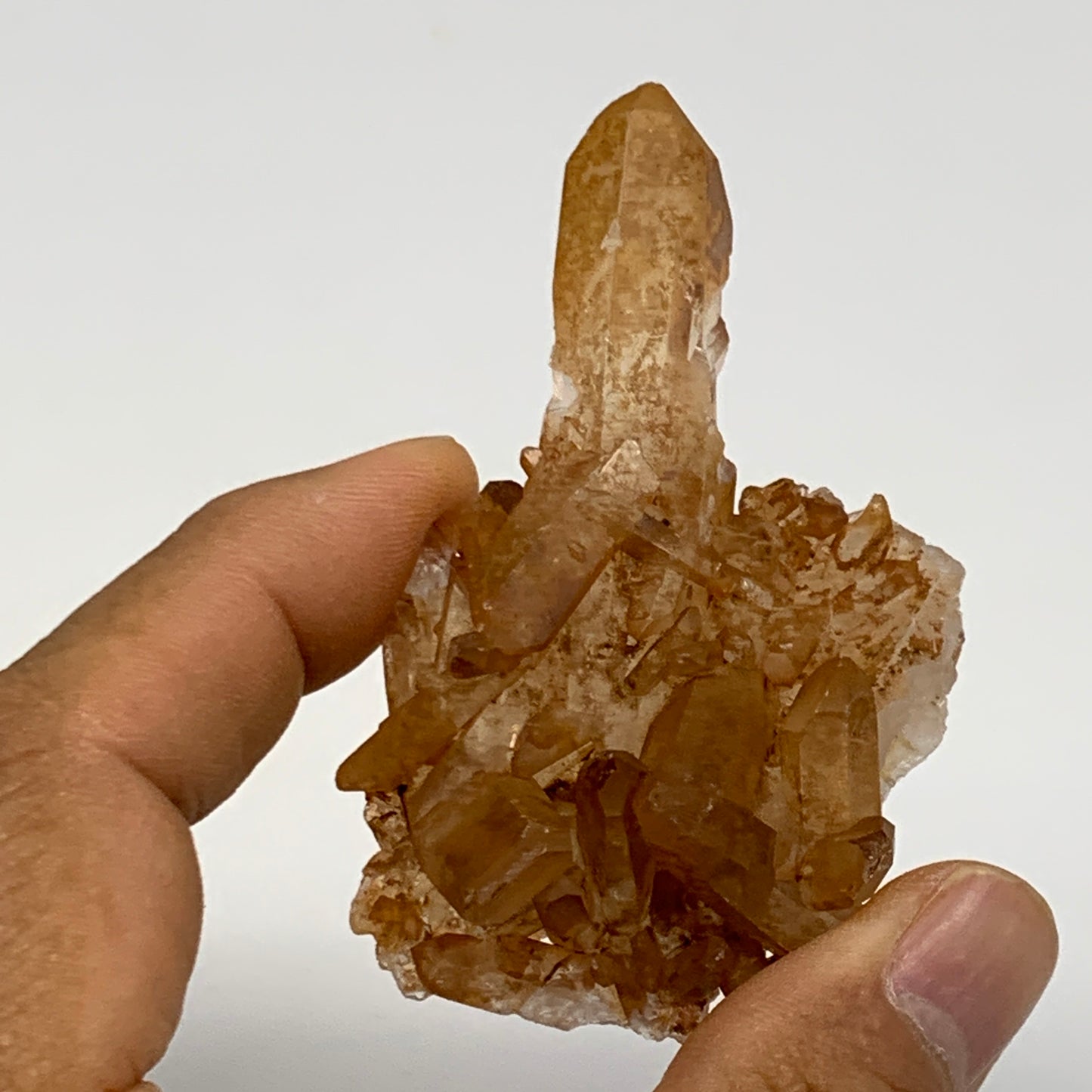 39.1g, 2.6"x1.6"x0.7", Orange Quartz Cluster Crystal Terminated @Brazil, B28898