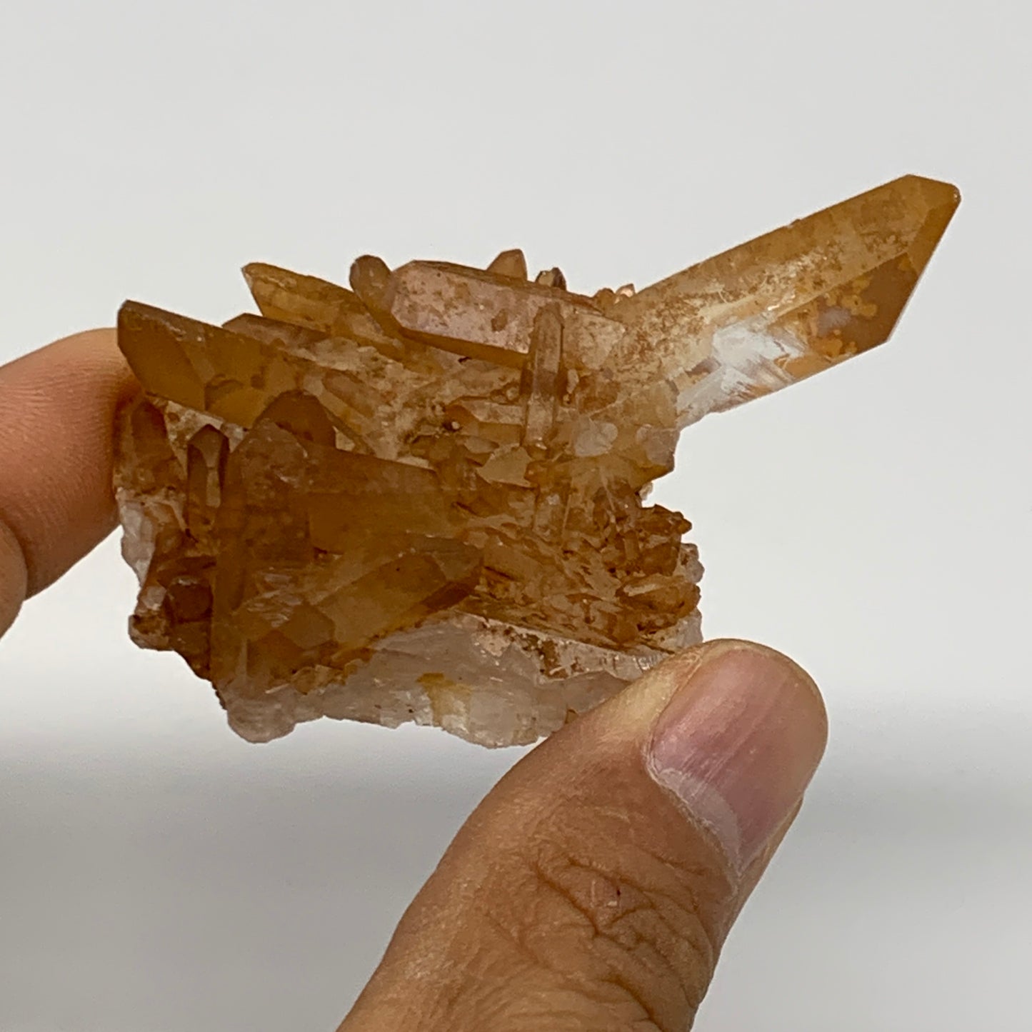 39.1g, 2.6"x1.6"x0.7", Orange Quartz Cluster Crystal Terminated @Brazil, B28898