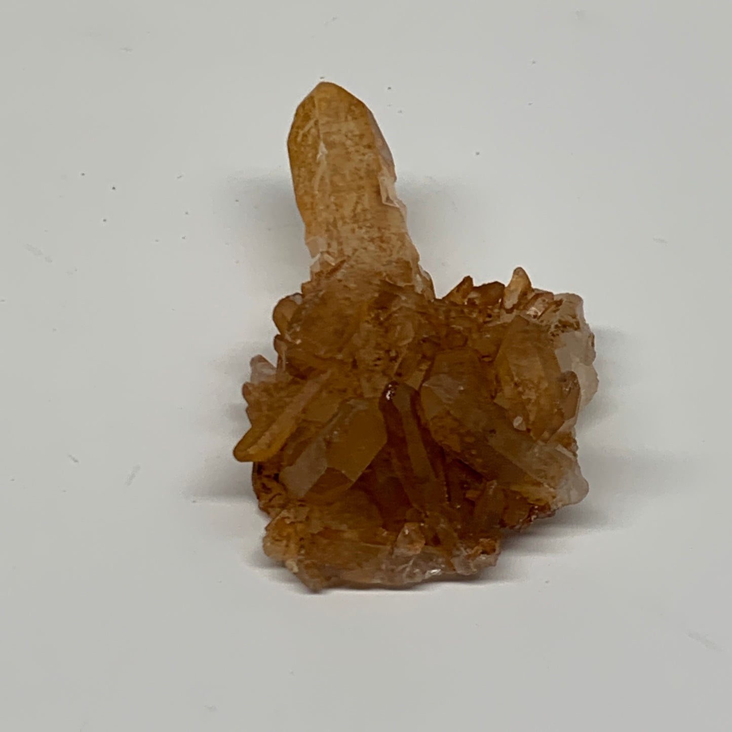 39.1g, 2.6"x1.6"x0.7", Orange Quartz Cluster Crystal Terminated @Brazil, B28898