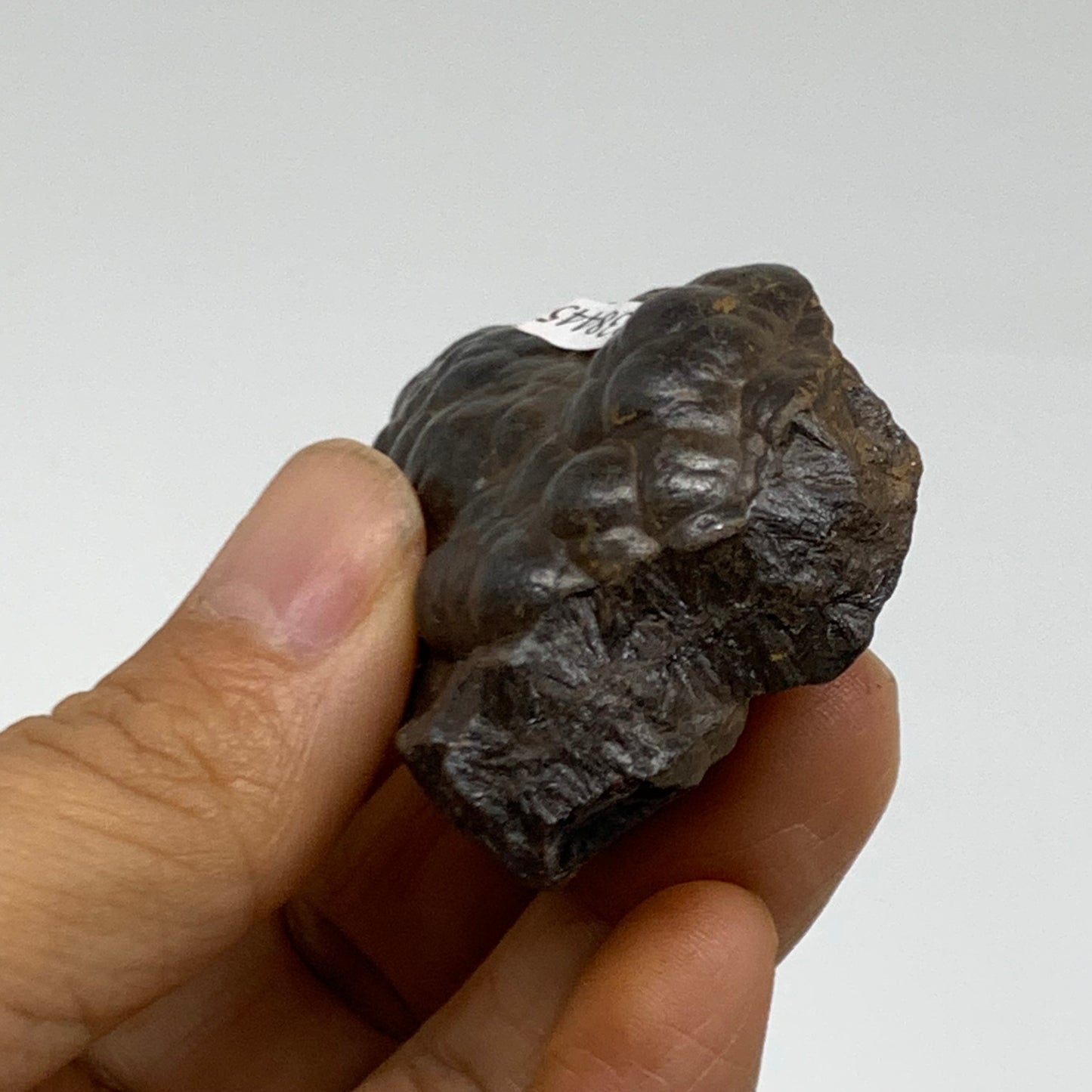 90.9g, 2.1"x1.6"x0.9", Rough Hematite Botryoidal Mineral Crystal, B38445