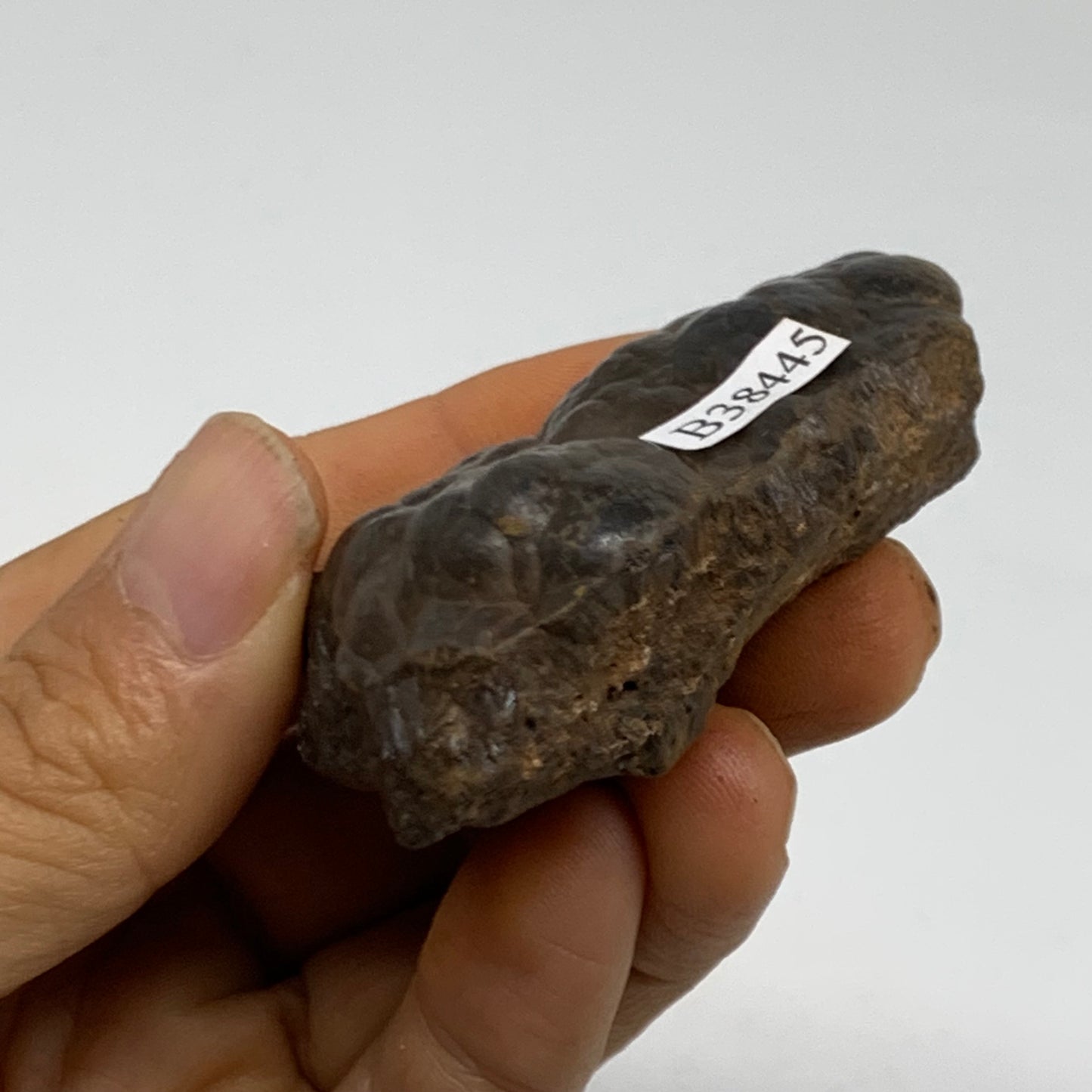 90.9g, 2.1"x1.6"x0.9", Rough Hematite Botryoidal Mineral Crystal, B38445