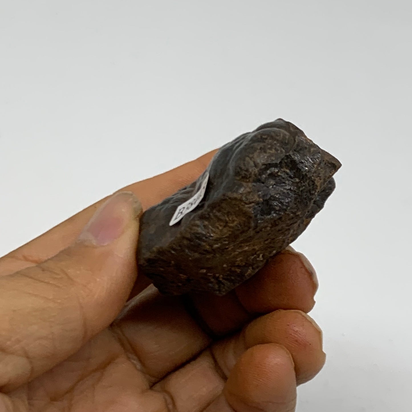 90.9g, 2.1"x1.6"x0.9", Rough Hematite Botryoidal Mineral Crystal, B38445