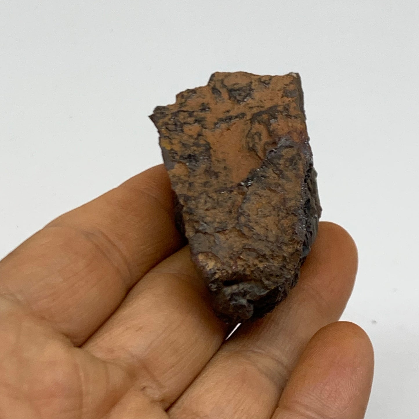 88g, 2.2"x1.5"x1.3", Rough Hematite Botryoidal Mineral Crystal, B38446