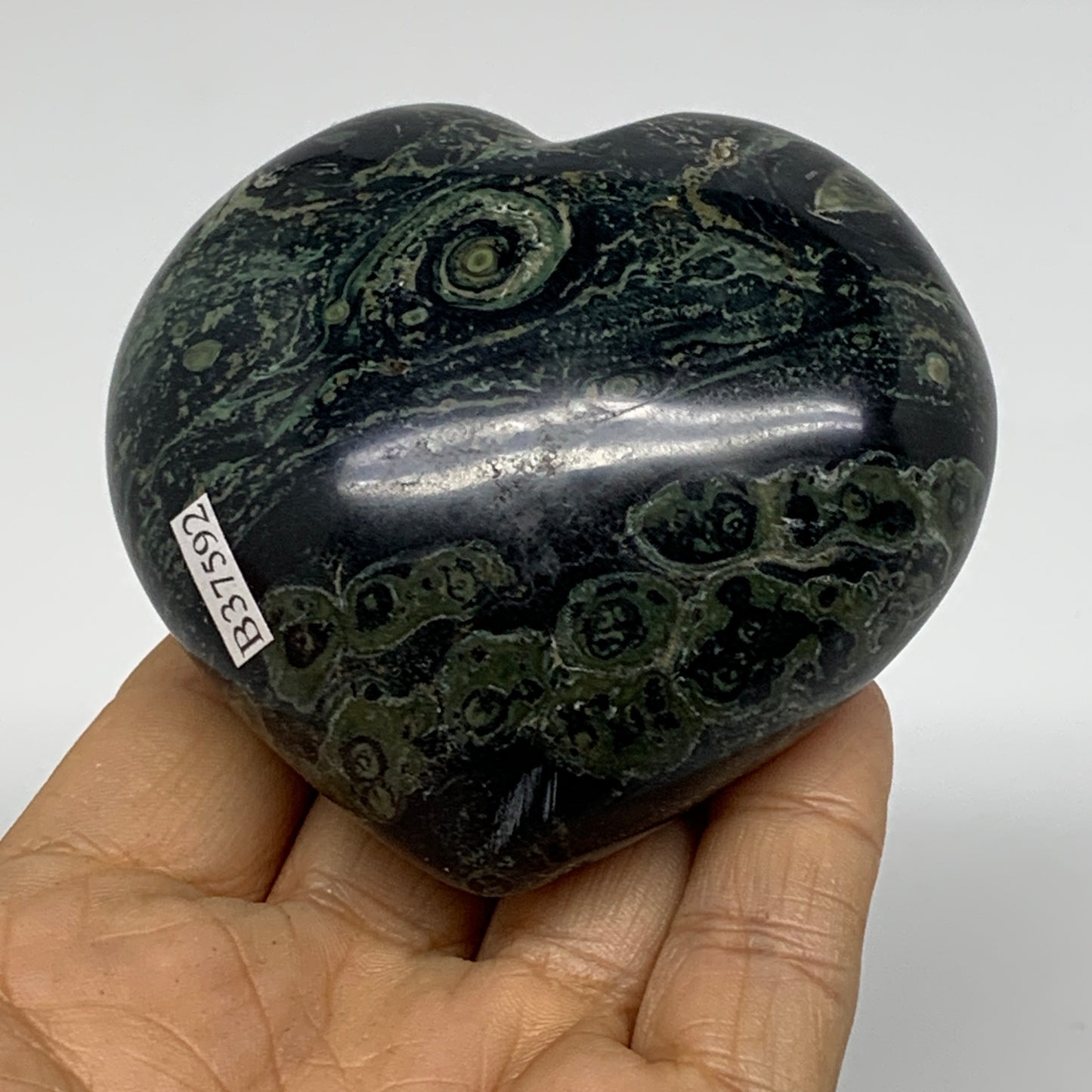 0.63 lbs, 2.7"x3"x1.6", Kambaba Jasper Heart Crocodile Polished Crystal, B37592
