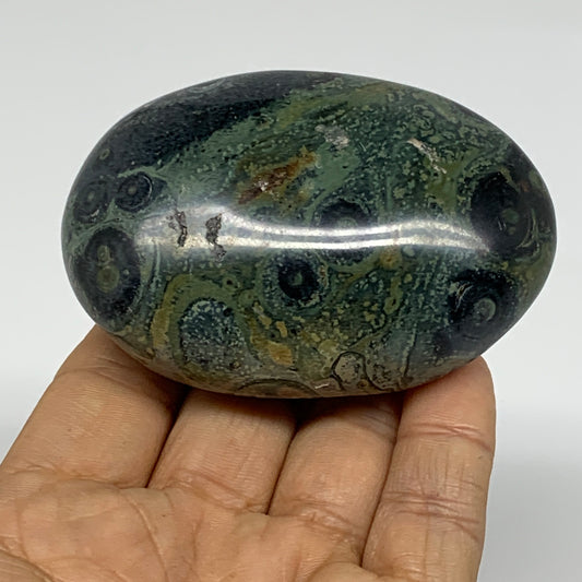 183.2g, 3"x2"x1.2", Crocodile Kambaba Jasper Palm-Stone, B37594