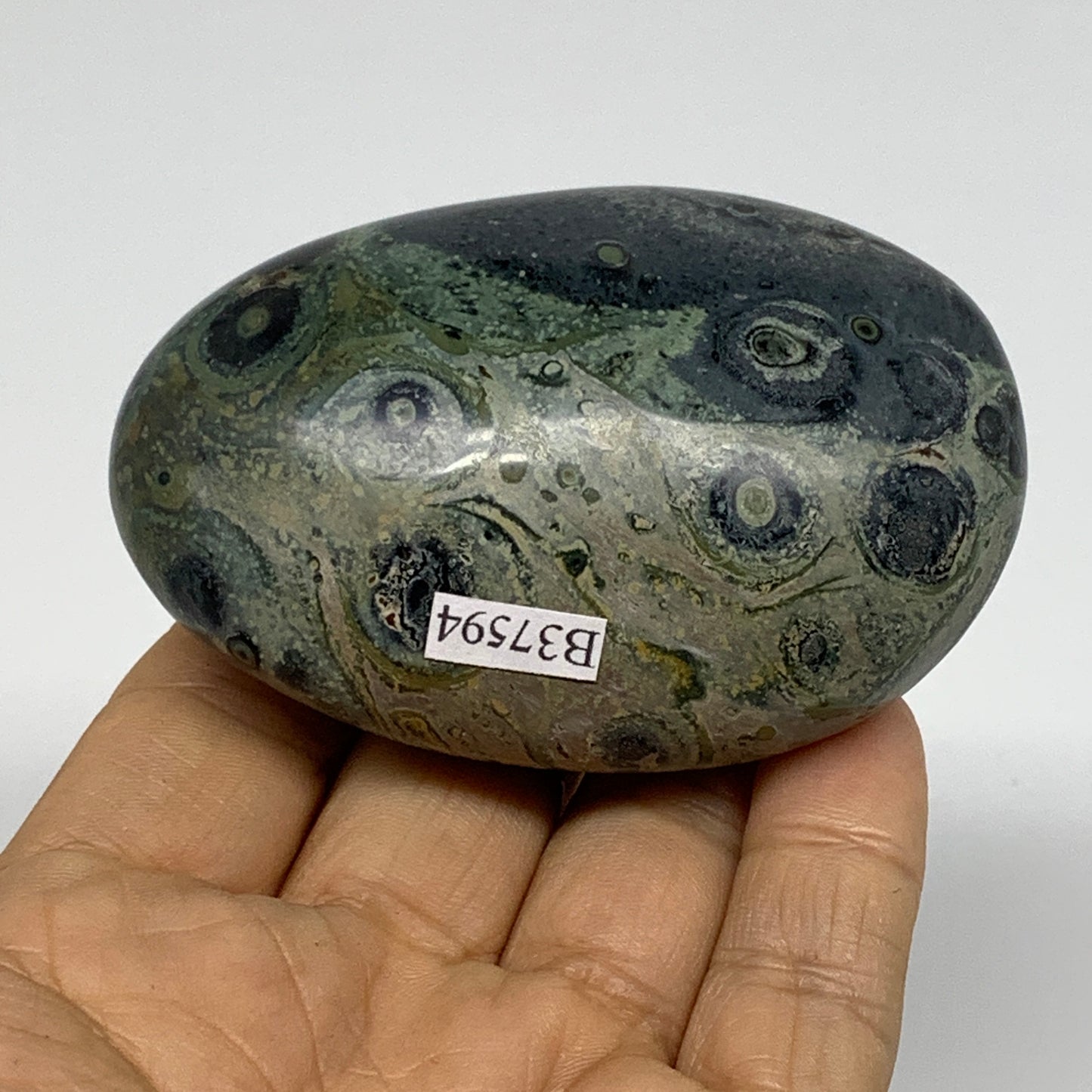 183.2g, 3"x2"x1.2", Crocodile Kambaba Jasper Palm-Stone, B37594